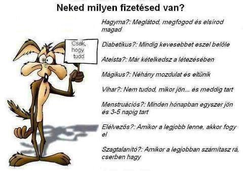 fizetés fizetés