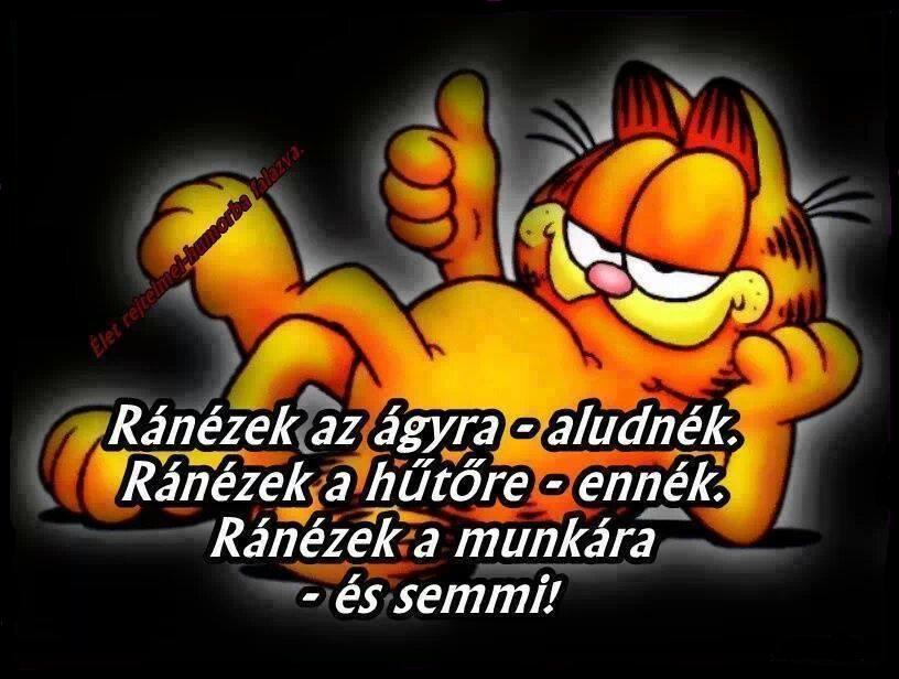 garfield pénz munka garfield pénz munka